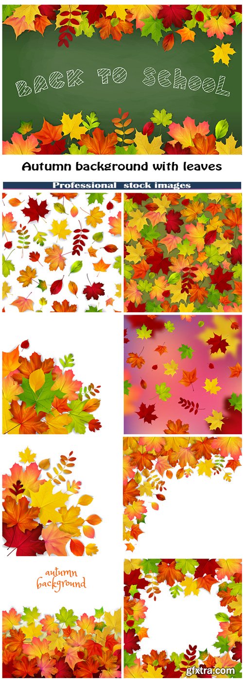 Autumn background with leaves