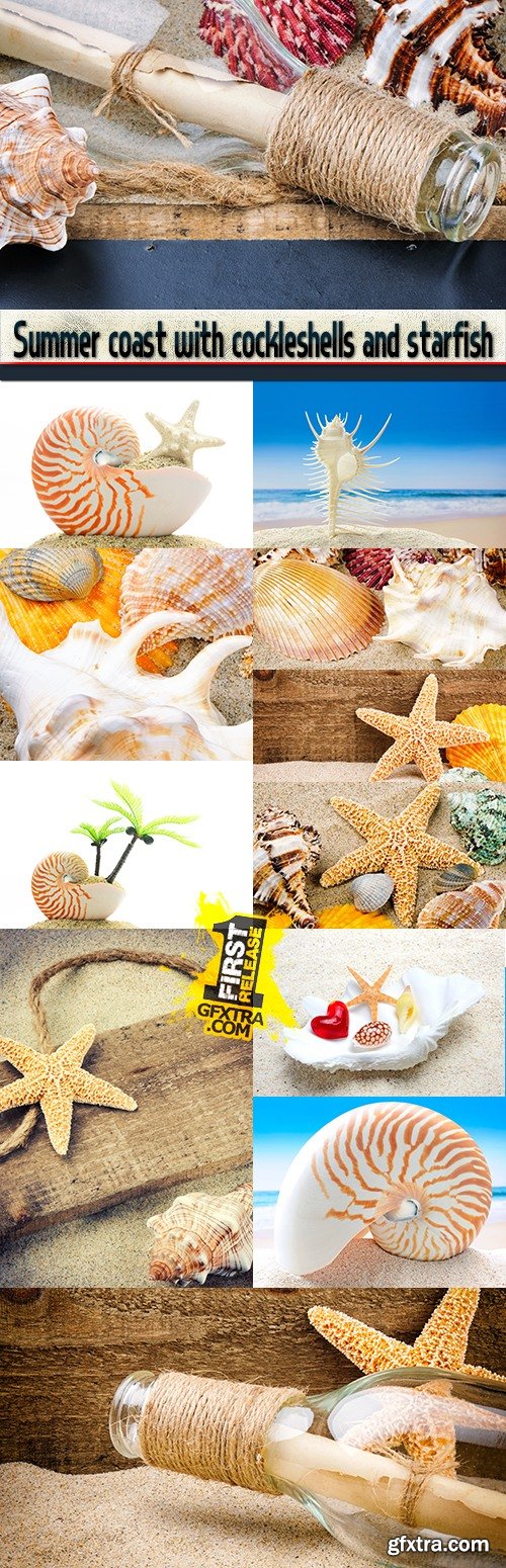 Summer coast with cockleshells and starfish