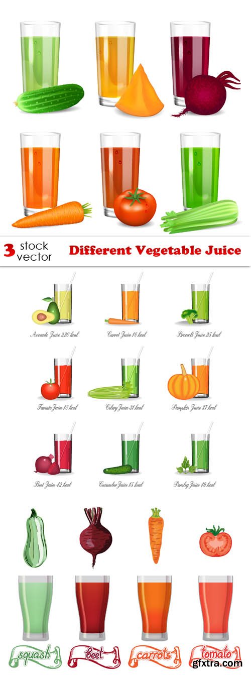 Vectors - Different Vegetable Juice