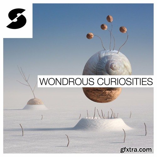 Samplephonics Wondrous Curiosities MULTiFORMAT-FANTASTiC