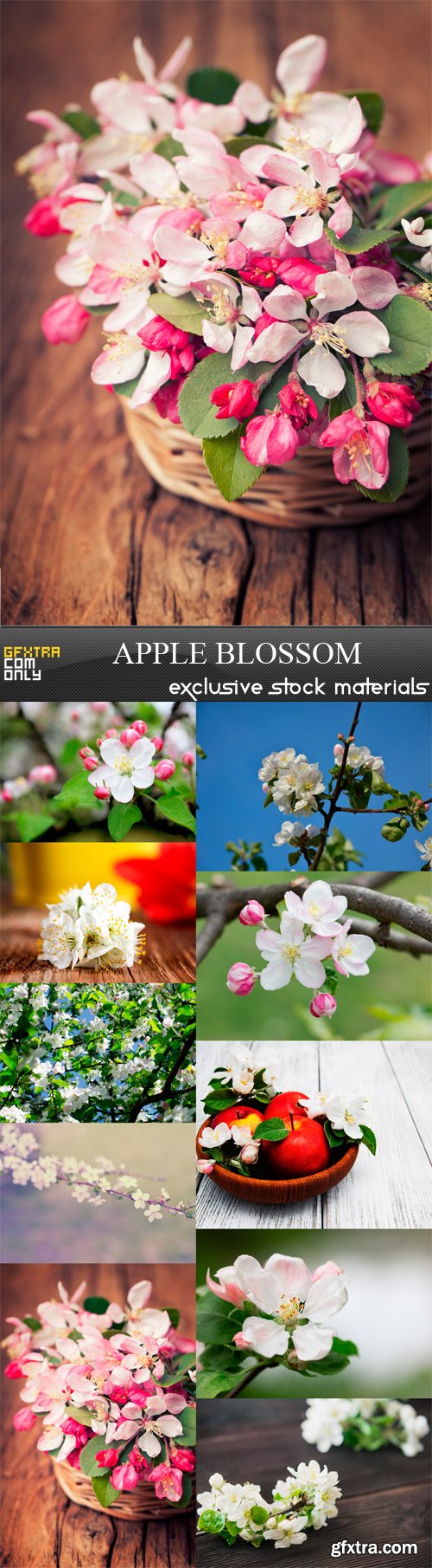 Apple Blossom - 10 x JPEGs