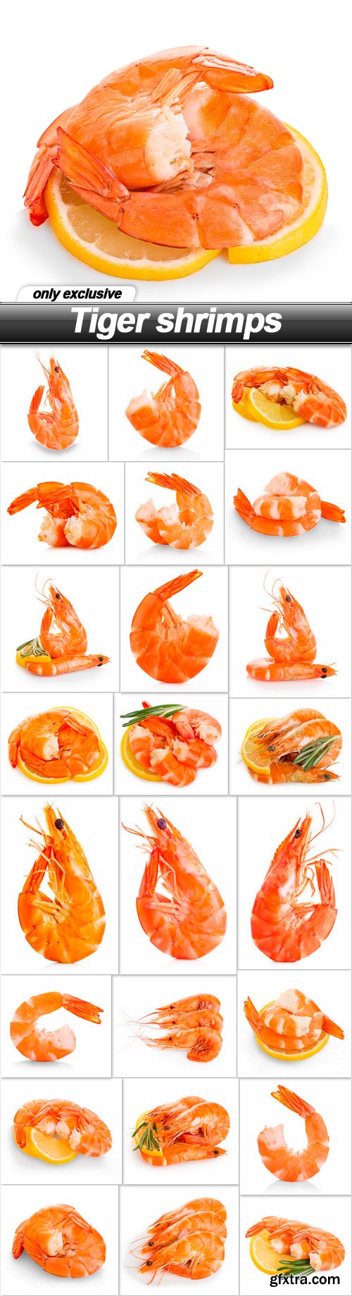 Tiger shrimps - 25 UHQ JPEG