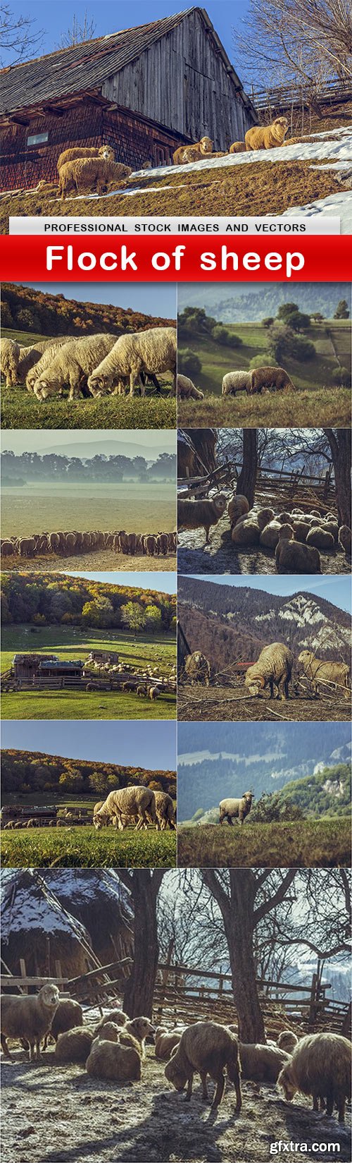 Flock of sheep - 10 UHQ JPEG