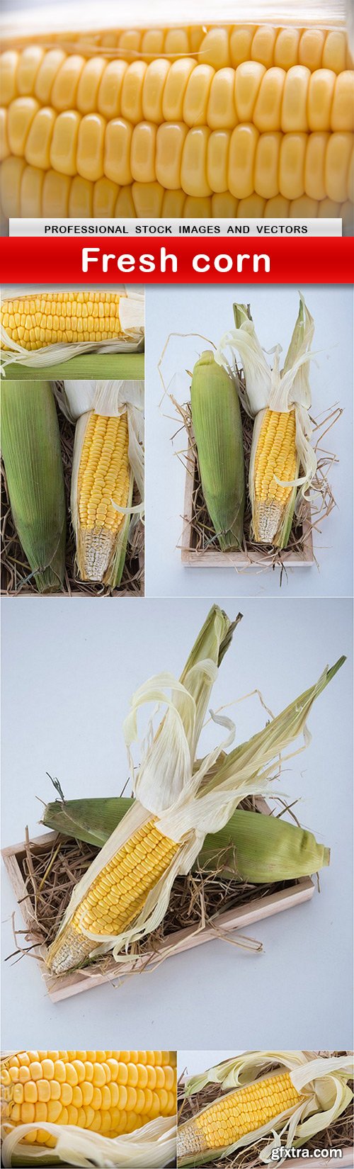 Fresh corn - 7 UHQ JPEG