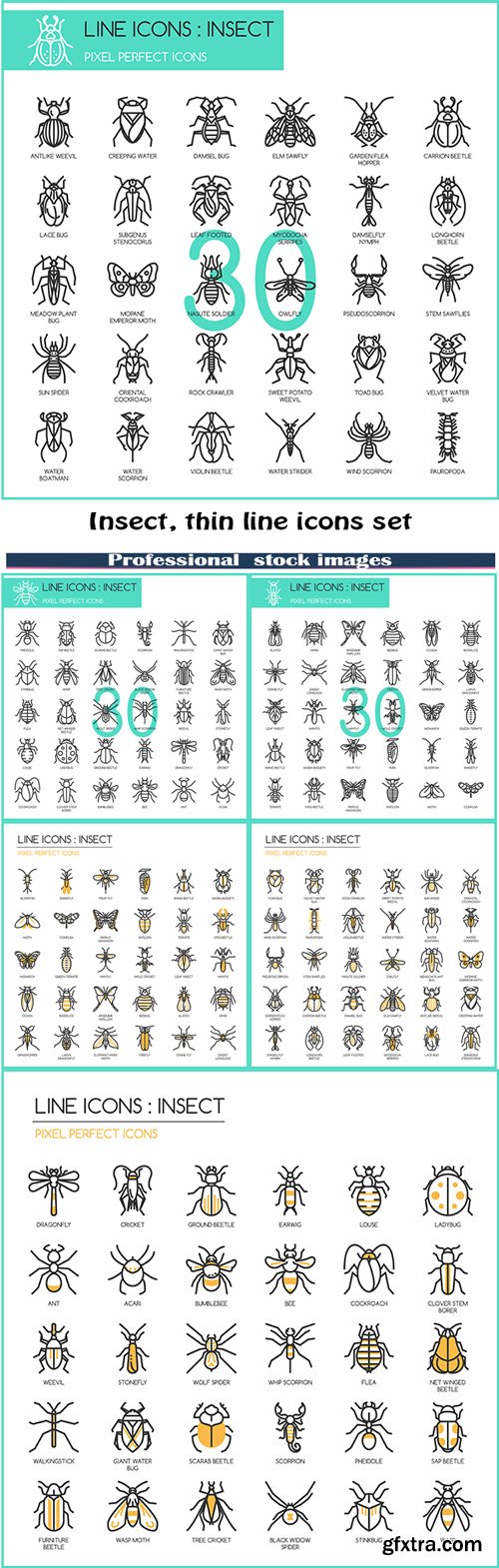 Insect, thin line icons set