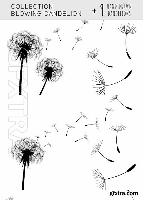 CM - Collection Blowing Dandelion 670573