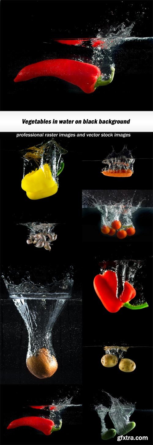 Vegetables in water on black background-9xUHQ JPEG