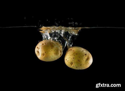 Vegetables in water on black background-9xUHQ JPEG