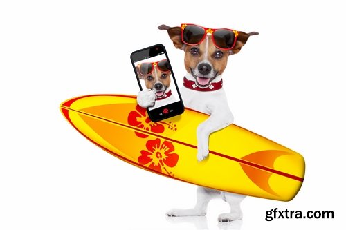 Collection Dog selfie photography man with an animal 25 HQ Jpeg