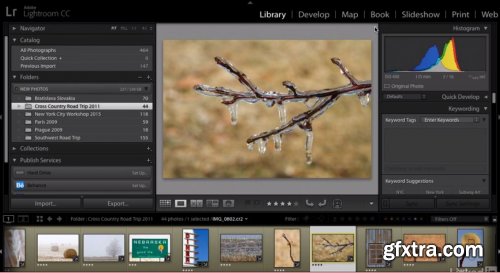 Cleaning Up Your Mess in Lightroom