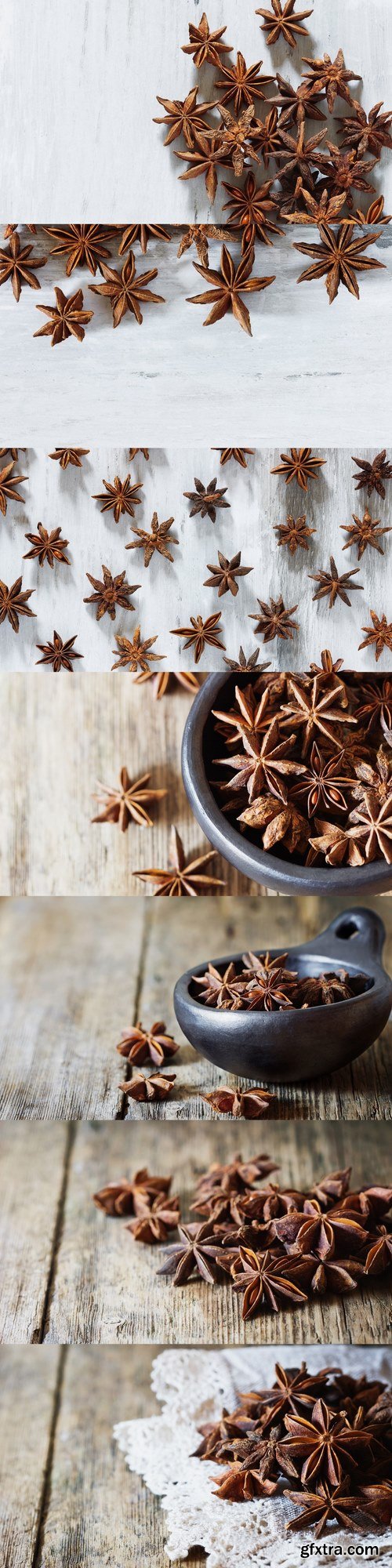 Star anise spice and fruit seeds