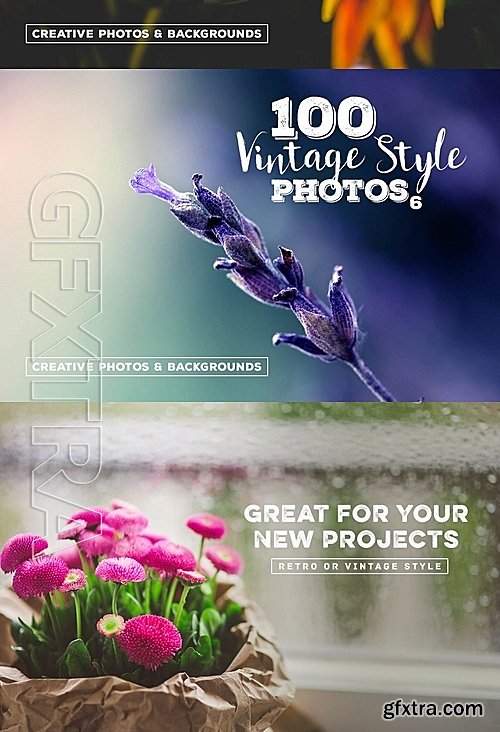 CM - 600 Vintage Style Photos - Bundle 692352