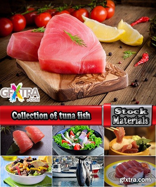 Collection of tuna fish salad dish cooked meal 25 HQ Jpeg