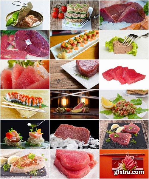 Collection of tuna fish salad dish cooked meal 25 HQ Jpeg