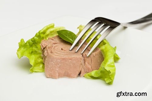 Collection of tuna fish salad dish cooked meal 25 HQ Jpeg