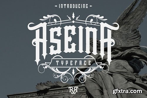 CM Aseina Typeface + Bonus (introsale)