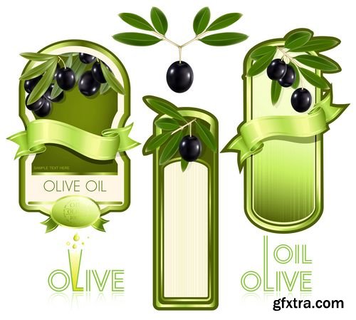 Natural Olive oil and green branches