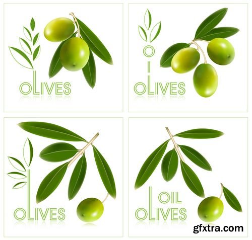 Natural Olive oil and green branches