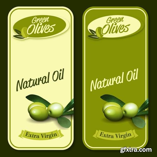 Natural Olive oil and green branches