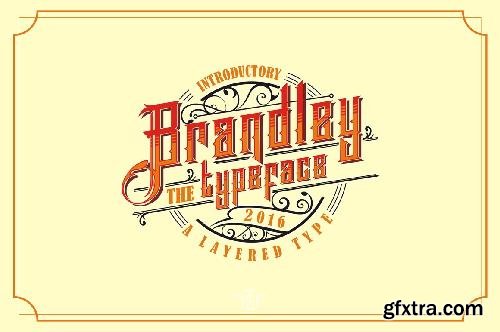 CreativeMarket Brandley Typeface 690271