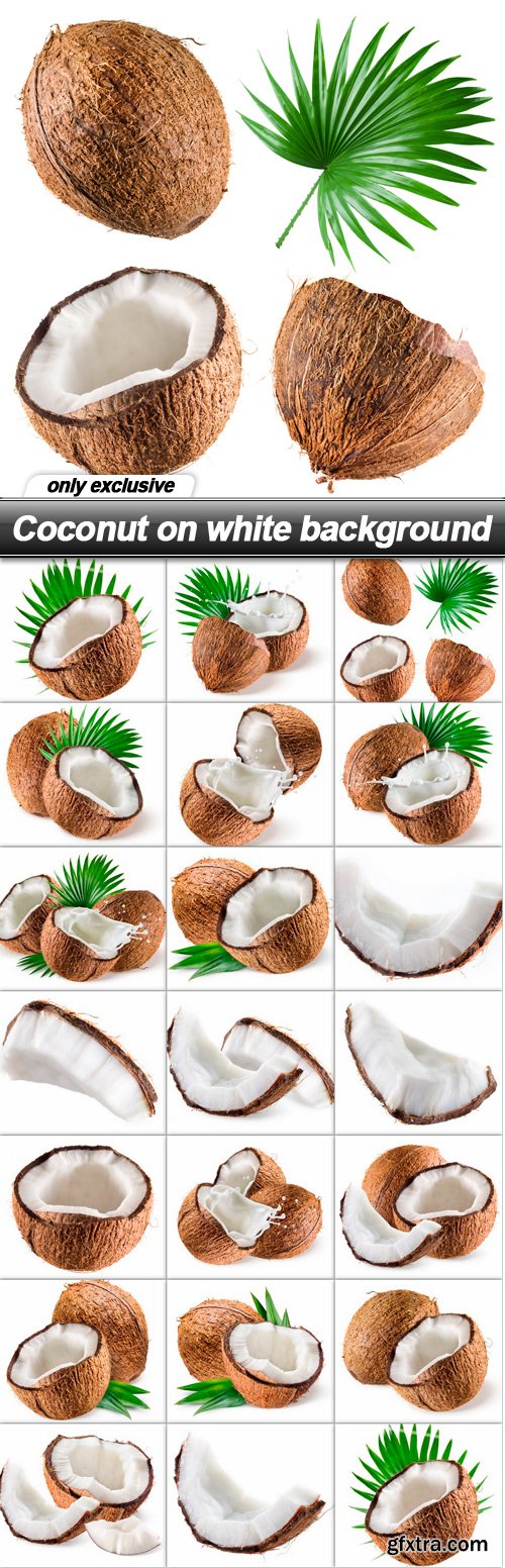 Coconut on white background - 20 UHQ JPEG