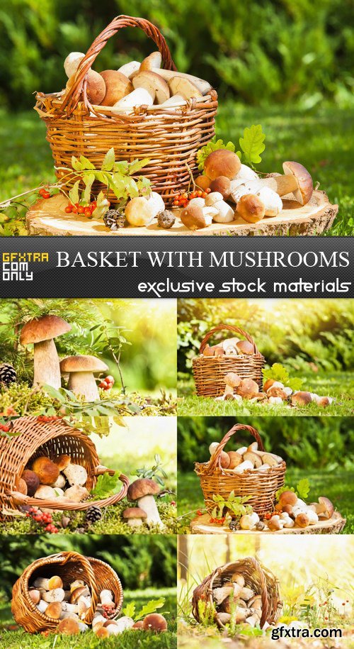 Basket with Mushrooms - 6 UHQ JPEG