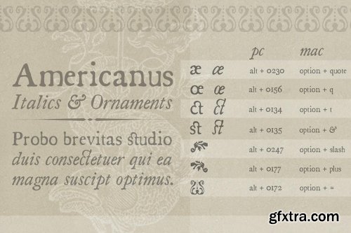 CreativeMarket Americanus Family 705453