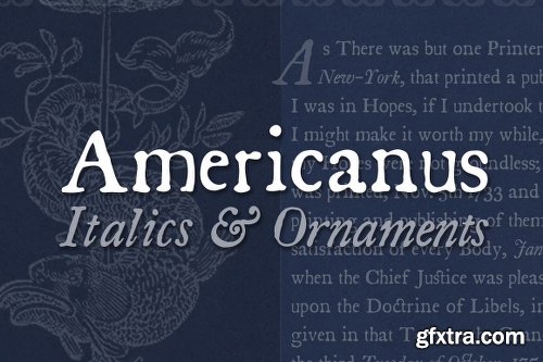 CreativeMarket Americanus Family 705453