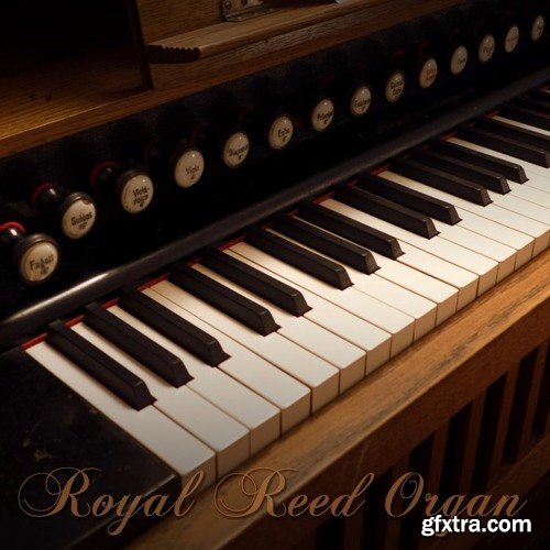 Precisionsound Royal Reed Organ KONTAKT-FANTASTiC