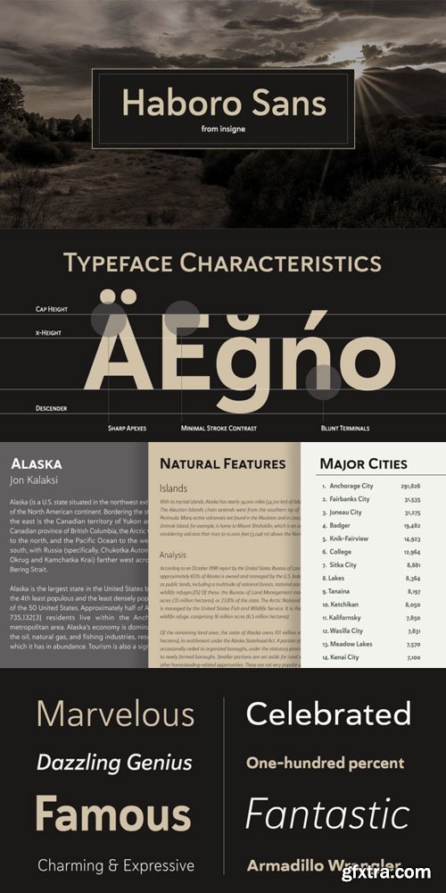 Haboro Sans Font Family $249