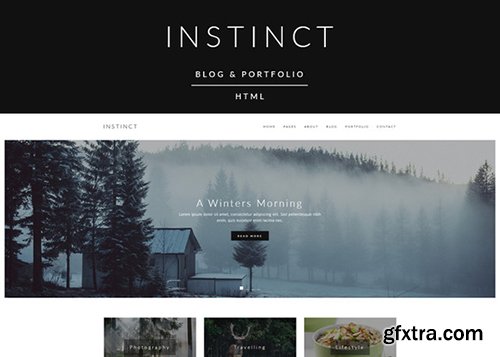 Instinct - Blog & Portfolio Template - CM 608680