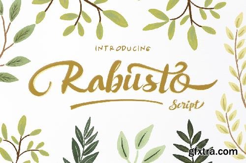 CreativeMarket Rabusto Script 678624