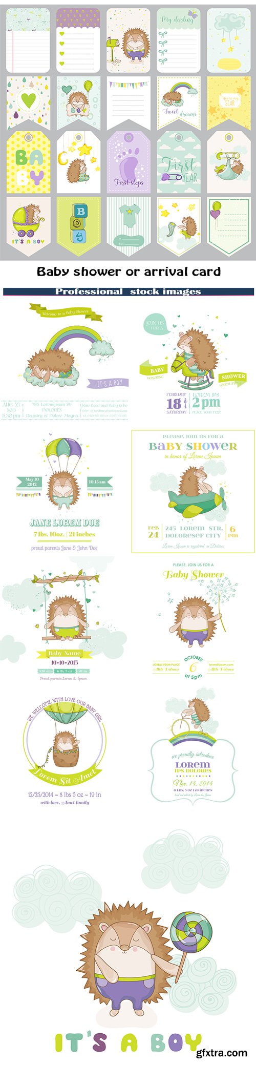 Baby Shower or Arrival Card - Baby Hedgehog