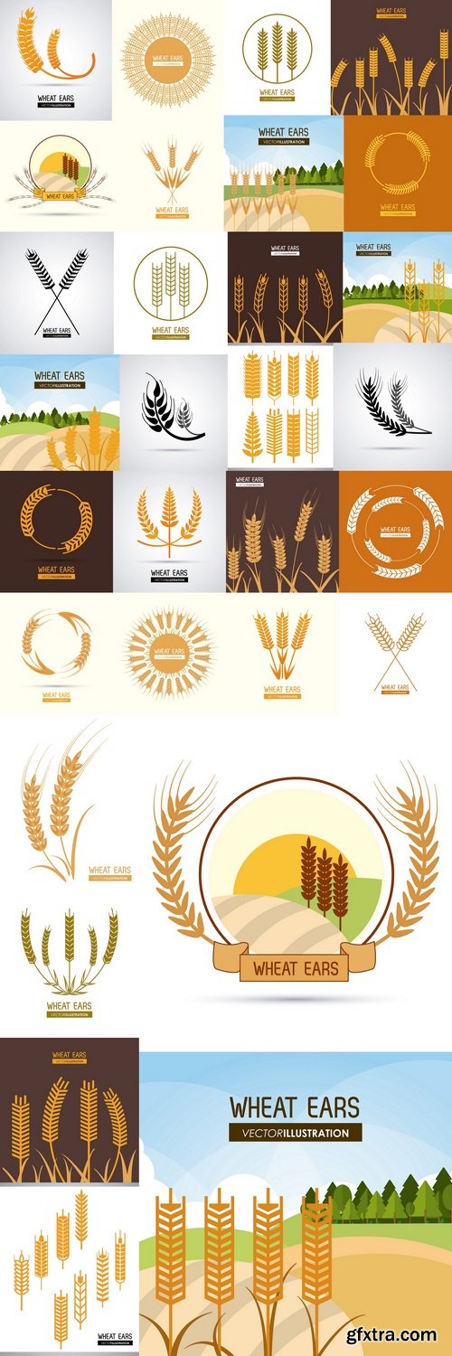 Wheat ears design