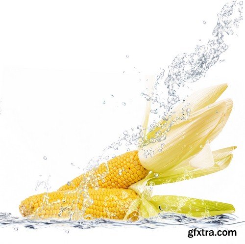 Vegetables in spray of water-6xUHQ JPEG