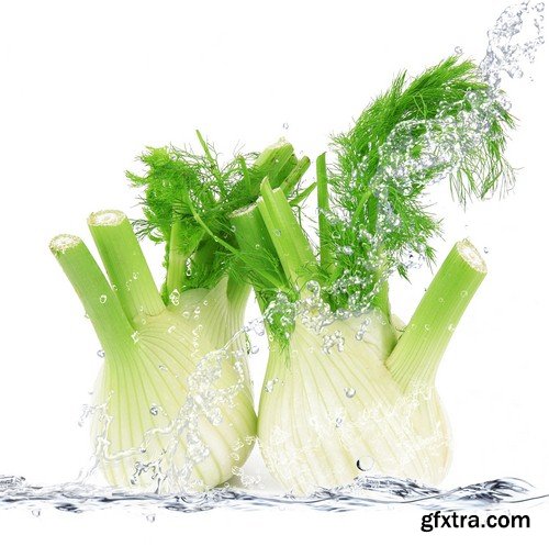 Vegetables in spray of water-6xUHQ JPEG