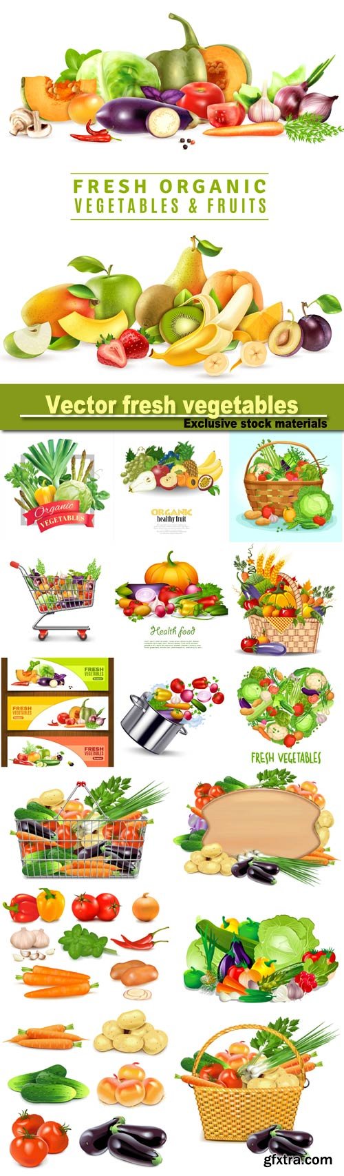 Vector set of fresh vegetables, healthy eating