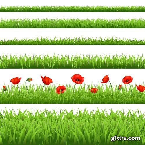 Green grass with flowers