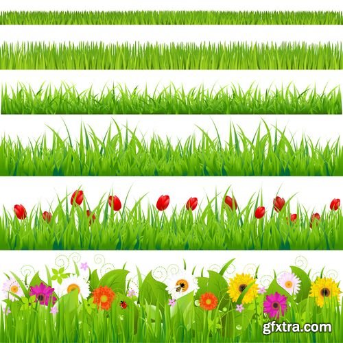 Green grass with flowers