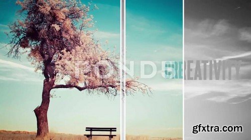 Slide Transitions - After Effects Template