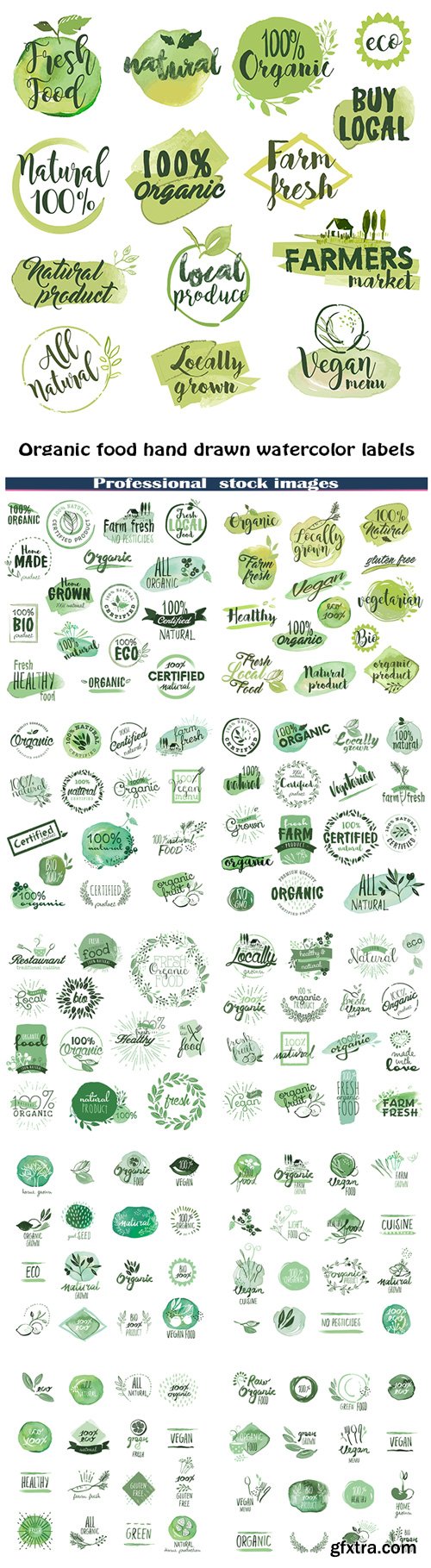 Set of organic food hand drawn watercolor labels