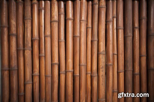 Bamboo Collection - 25xUHQ JPEG