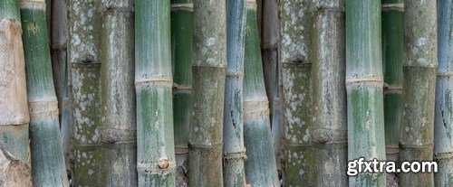 Bamboo Collection - 25xUHQ JPEG