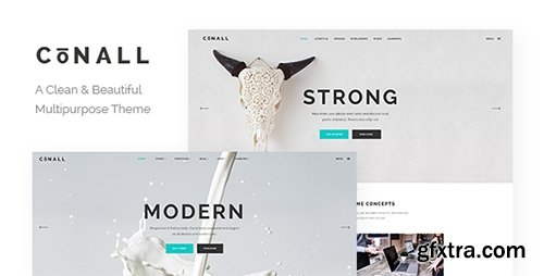 ThemeForest - Conall v1.2.1 - A Clean & Beautiful Multipurpose Theme - 15245311