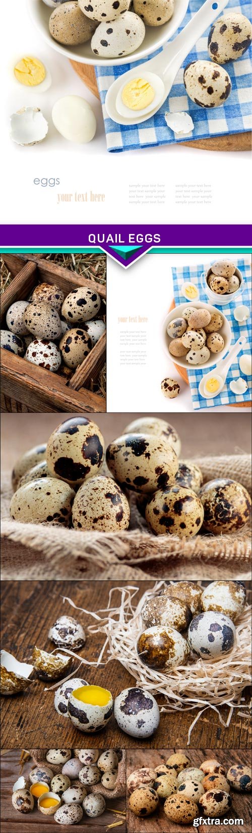 Quail eggs 7x JPEG