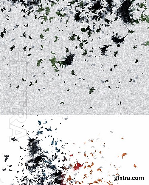 GraphicRiver - Feather Photoshop Action 16525634