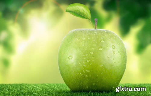 Green Apple - 21xUHQ JPEG