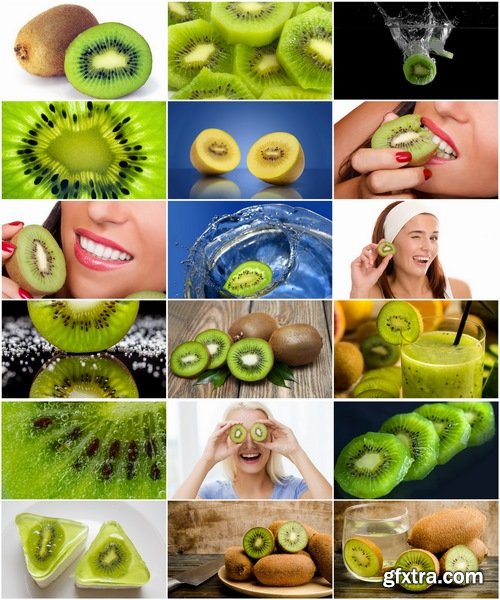 Collection of of kiwi berry plant macro pulp seed 25 HQ Jpeg