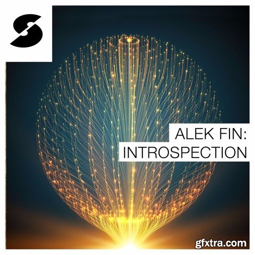 Samplephonics Alek Fin Introspection MULTiFORMAT-FANTASTiC