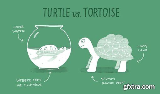 Scientific Illustration: Conveying Information with Charm